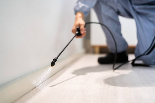 Licensed Fumigation Services service in Elk Plain, WA - Nex Pest Control
