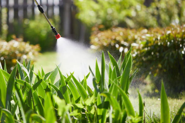 24/7 Emergency Fumigation Services experts in Elk Plain, WA